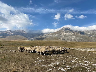 Der Apennin: Italiens Naturparadies – Von den Abruzzen nach Kalabrien