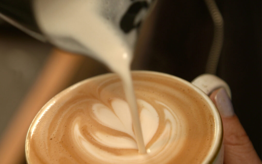 plan b: Kaffee mit Zukunft – Klimafit und fair